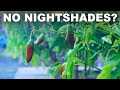 Nightshades (probably) aren't hurting you (tomatoes, peppers, potatoes, eggplant, etc)