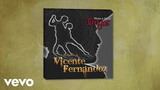 Vicente Fernández - Cantando (Cover Audio)