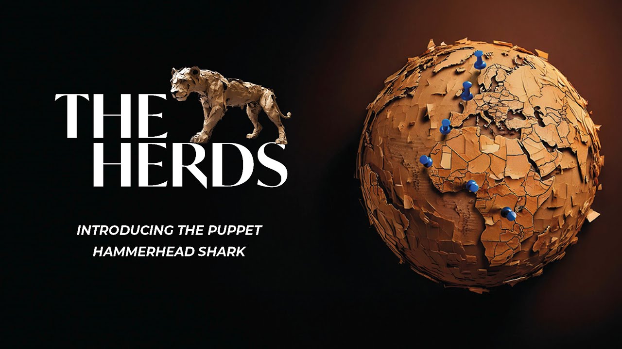 🦈 Build your own Scalloped Hammerhead Shark - THE HERDS