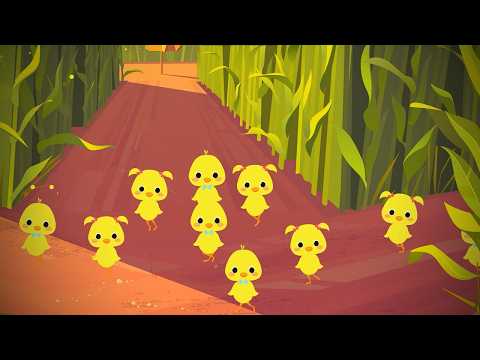 Puișori gălbiori - cântece animate pentru copii