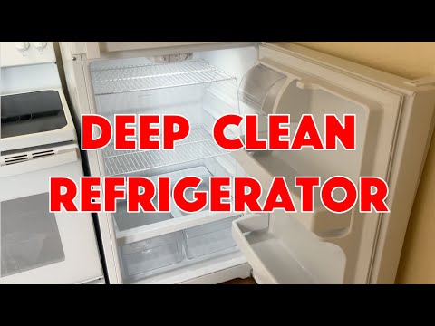 How To Deep Clean Refrigerator | The DIY Guide | Ep 129