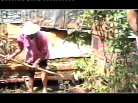 Ny Mpianatra - SLKAF