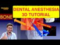 Inferior Alveolar Nerve BLOCK 3D Step By Step Tutorial IAN Dental Anesthesia Injection EASY Guide