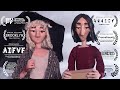 A Bird Hit My Window And Now I M A Lesbian Award Winning Stop Motion Short Film