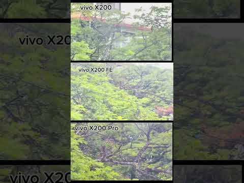 Gourab Nill and MR TechTuber Nill