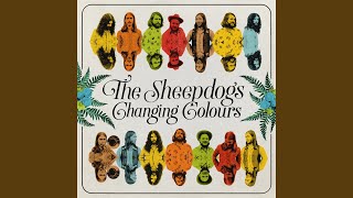 Musik-Video-Miniaturansicht zu I Ain't Cool Songtext von The Sheepdogs