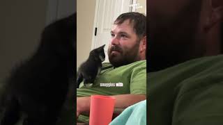 Kitten's Love Mission: Winning Over a Non Cat Person || Heartsome 💖
