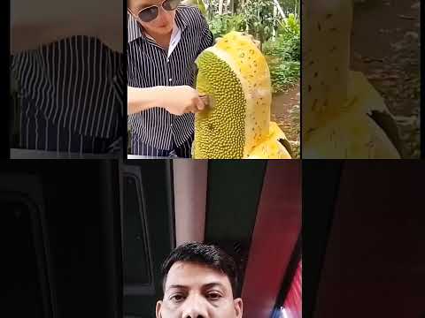 Beutiful fresh fruits#gradening #fruitrees #fruit #mangocrop #youtubeshorts #abhirajvishwakarma