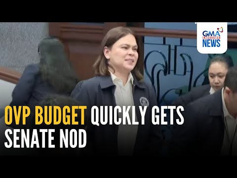 OVP budget quickly gets Senate nod | GMA Integrated News