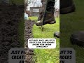 Get Perfect Lawn Edges with This Simple Tool! | Half-Moon Edger in Action #lawnedging #edges