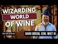 Wizarding World Of Wine | David Gibson | Barrels and Roots