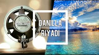 Danilla Riyadi -  Birds in Cages (Lyrics)