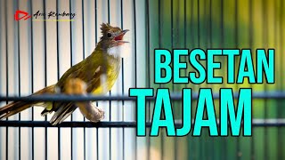 Download lagu JENGGOT DEWA BESETAN TAJAM mp3 Download lagu JENGGOT DEWA BESETAN TAJAM mp3