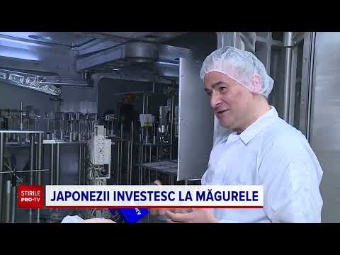 Laserul de la Măgurele va fi comprimat la câțiva microni cu ajutorul unei oglinzi de 1 milion €