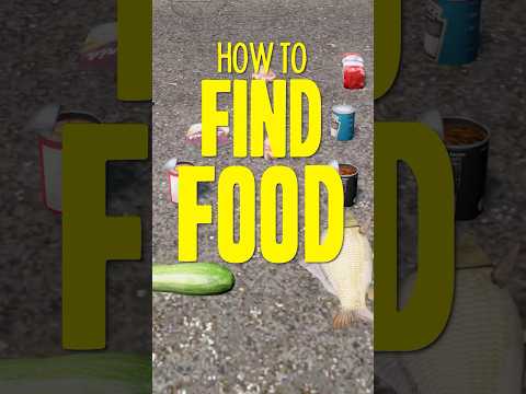 How To Find Food in DayZ 🍎