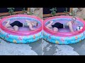 Try Not To Laugh Watching Kallmekris Videos Funny Kallmekris Compilation