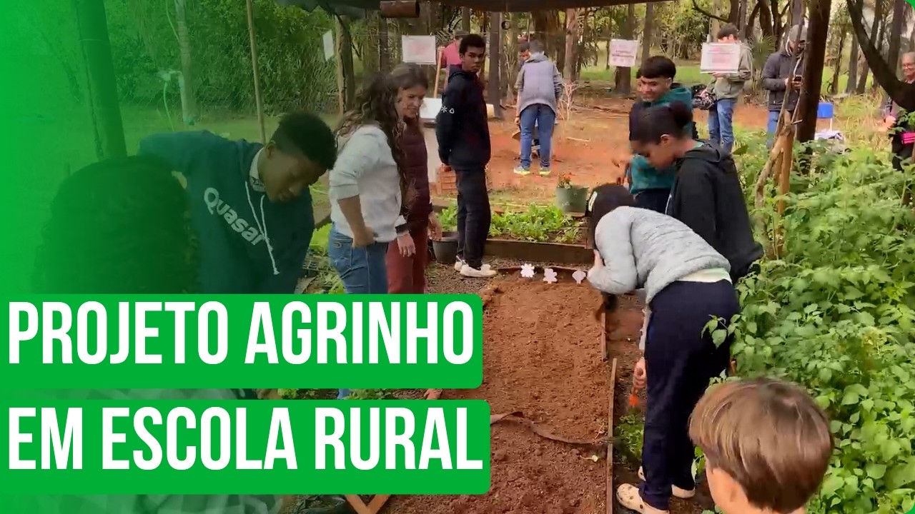 Projeto Agrinho em Escola Rural