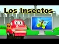 Descubriendo A Los Insectos Videos Educativos Para Niños Barney El Camión