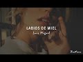 Luis Miguel - Labios De Miel (Letra) ♡