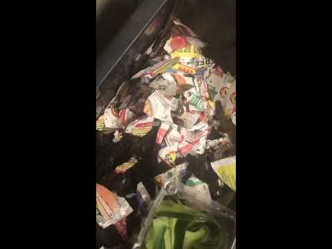 7 days of worms Day 2. 25 worm Red Wiggler bin