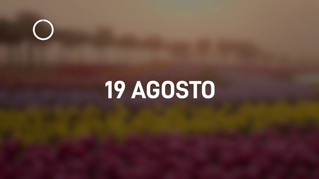 19 Agosto 2024 | Meditazione Parole di Vita