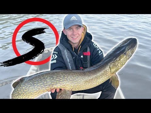 MILLÄ VÄLINEILLÄ JA MITEN VOITETTIIN PIKE MASTERS HAUKILIIGA? | SCANDINAVIAN TACKLE