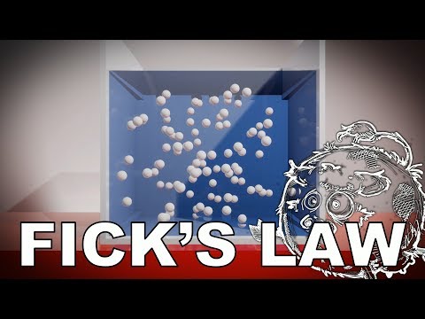 Fick's Law Animation