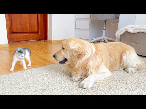 YouTube 썸네일