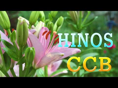 CCB Hinos Cantados  74, 01, 36, 44, 49, 96, 190, 193, 207, 210, 260, 306, 357, 375, 385 Hinario 5