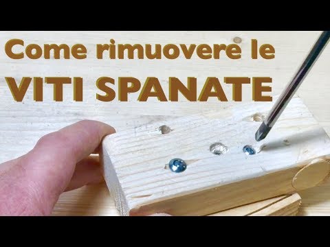 Come eccitare un pesce Donna Agente per il trattamento di potenza per gli uomini