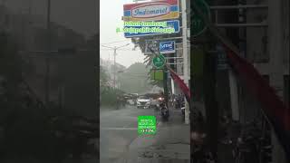 Download lagu Pohon tumbang jl Majapahit Sidoarjo (3/1/26). mp3