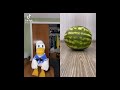 Donald Ducc Screaming Tik Tok