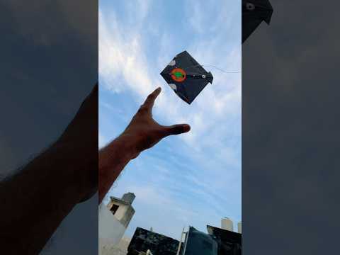 ye patang hum loot payenge ? | krishna kite official | #shorts #kite #viralvideo #kiteflying