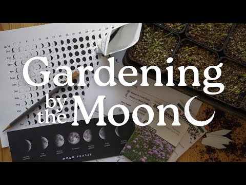 What the Moon Actually Does—and Doesn’t—Do in the Garden
