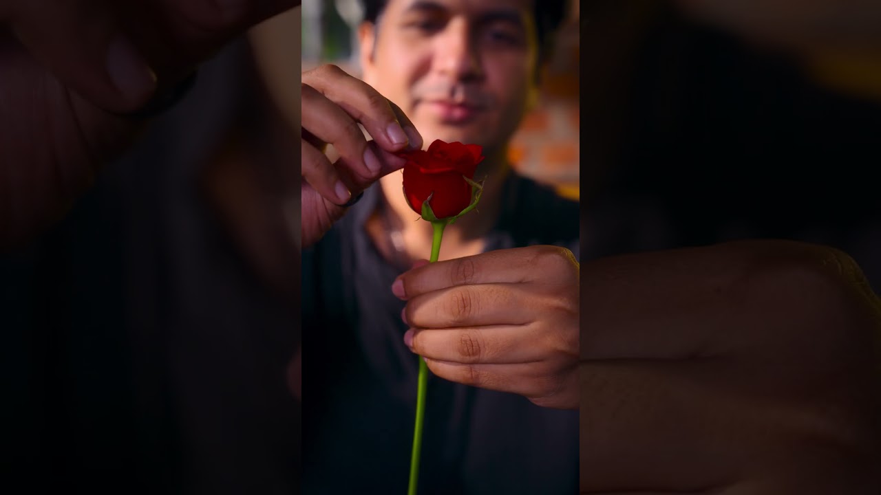 Born in Wildlife, Peacock Life