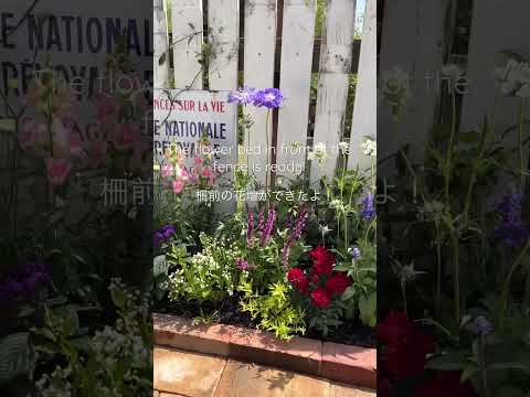 家の前の直射日光の庭の耐暑性植物の花壇