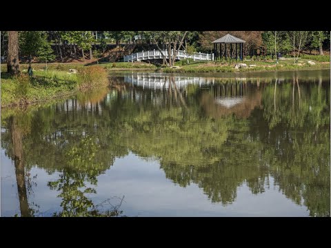 Georgia USA 4K: Relaxing Music Journey with the beauty of Nature.