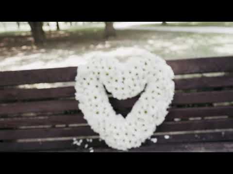 Ansambl LADO - Drobne male lastavičke