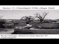 Chandigarh 1947 pictures 17 sector 1960 चंडीगढ़ 1947 ਚੰਡੀਗੜ੍ਹ 1947 before 1947 photo new C