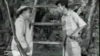 Download lagu filem do re mi rumah atas pokok mp3