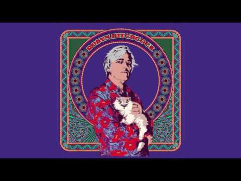 Robyn Hitchcock - “I Want To Tell You About What I Want” (Official Audio)