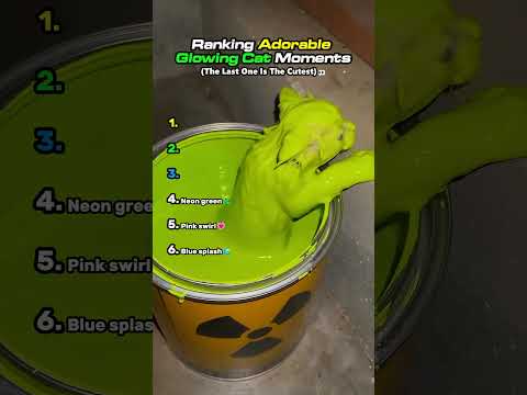 Ranking Adorable Glowing Cat Moments Pt 2