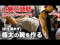 【腕トレ】三頭筋が確実にデカくなる神種目!スカルクラッシャーを徹底解説。