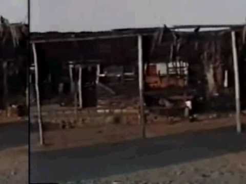 Blend Mishkin feat. Brother Culture - Lyrical Jam