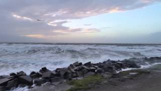 preview picture of video 'Die Ostsee bei Sturm Felix 2015 auf Hiddensee Video 2'
