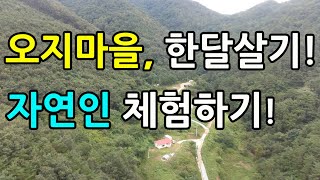 오지마을 한달 살기!(자연인 체험하기!)