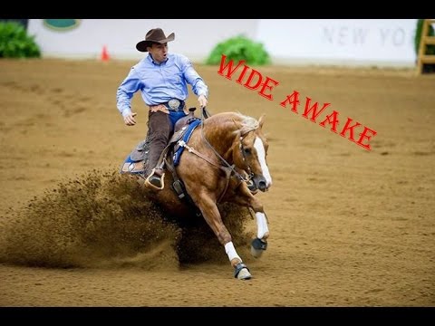Western (Reining) - Wide Awake