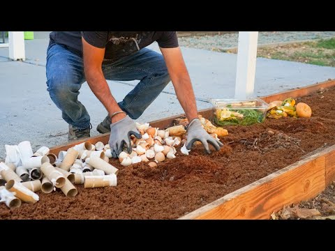 7 Things You Can Bury in the Garden to Add FREE Nutrients Video
