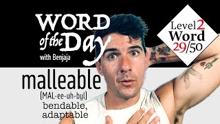 malleable (MAL-ee-uh-bul) | Word of the Day 79/500