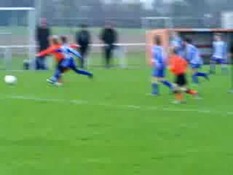 Bataven F1- Blauw Wit F2